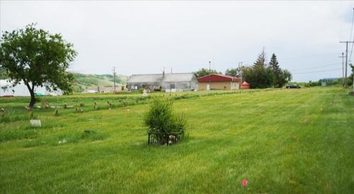 182 human remains discovered at former St. Eugene's residential school in Canada
