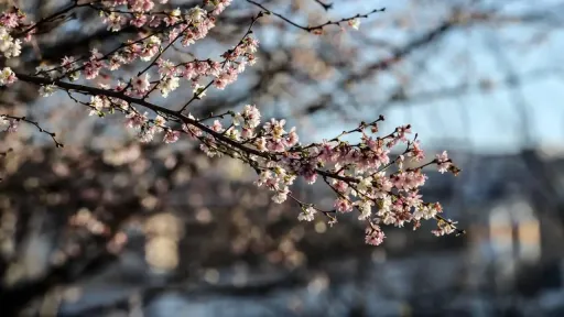 Sunny weather today across Greece – rain and possible snow expected next week