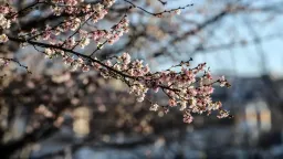 Sunny weather today across Greece – rain and possible snow expected next week