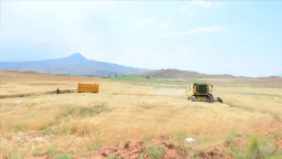 ELSTAT: Agricultural professions declining as 75,000 workers leave sector in one year