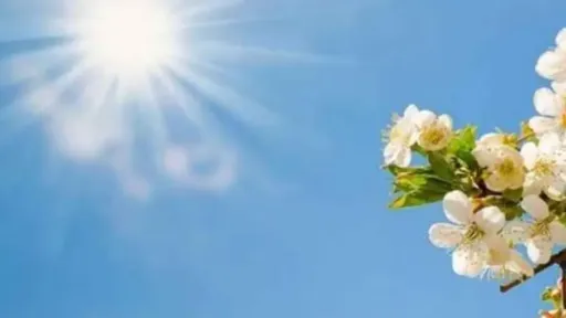 The weather today: Mostly fair with dust and breezy seas