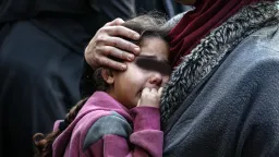 4.9M children aged under 5 died in 2024, says UN report