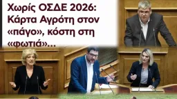 Greek Farmers face liquidity crisis as OSDE 2026 delayed and farmer card remains inactive