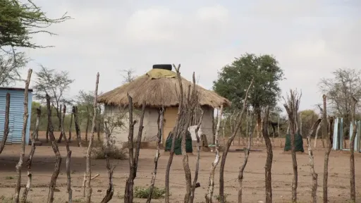 Return of Khoisan remains spotlights colonial abuses