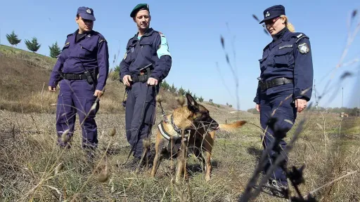 Frontex report alleges serious human rights violations at Greek borders