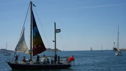 Greenpeace ship to join upcoming Global Sumud humanitarian aid flotilla to Gaza