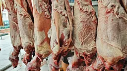 Greek livestock farmers demand compensation over organ disposal policy amid disease measures