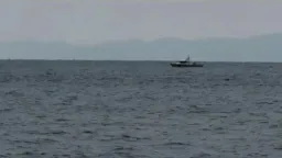 Greek Coast Guard harasses Turkish fisherman in international waters near Gökçeada