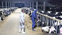 Foot-and-mouth disease case confirmed in Türkiye near border, raising larm in Northern Greece