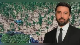 Rhodope tobacco farmers seek support as MP Özgür Ferhat raises issue in Parliament