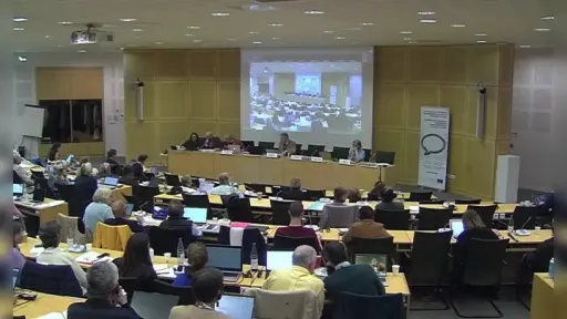 FUEN raises Western Thrace Turkish Minority rights at Council of Europe CINGOs General Assembly