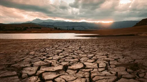 Extreme heat pushing global food systems to brink, UN agencies warn