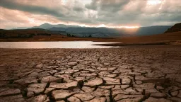 Extreme heat pushing global food systems to brink, UN agencies warn