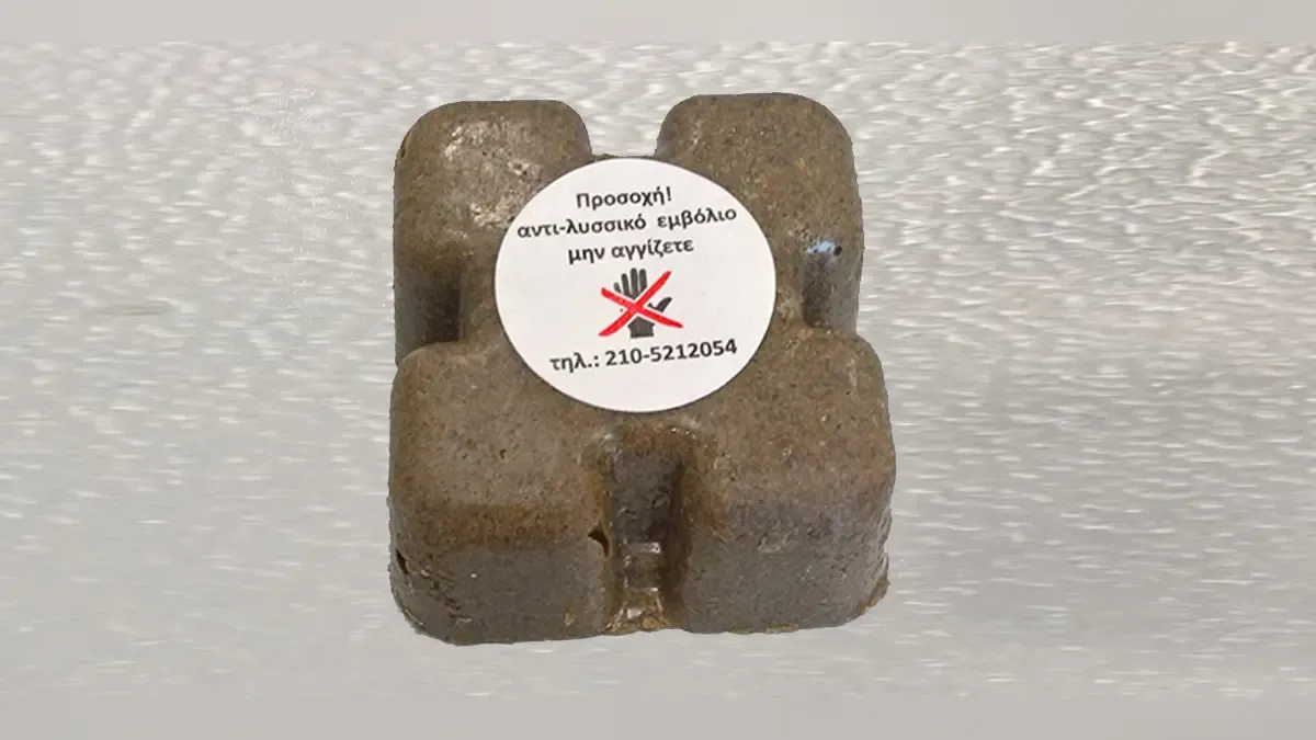 Eastern Macedonia and Thrace regional veterinary directorate issues rabies vaccination advisory ahead of spring campaign