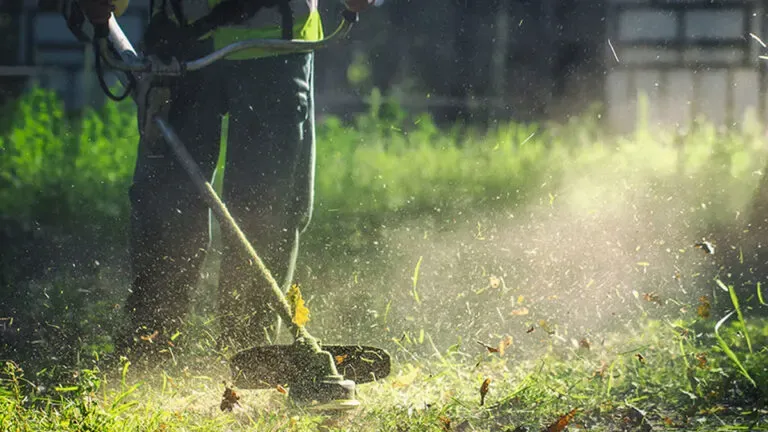 Greece sets new deadline and rules for mandatory plot clearing