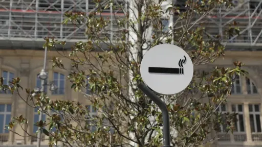 Germany plans ban on disposable e-cigarettes