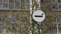 Germany plans ban on disposable e-cigarettes