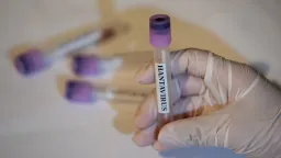 WHO chief says no new deaths reported in hantavirus outbreak since May 2