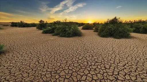 Experts urge WHO to declare climate change international public health emergency