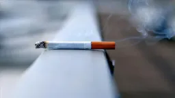 Sweden becomes ‘smoke-free’ country as smoking rate falls below 5%