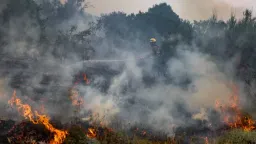 EU deploys largest-ever wildfire response for summer 2026