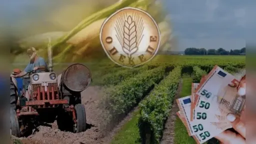 Police uncover alleged €2.5 million OPEKEPE subsidy fraud scheme