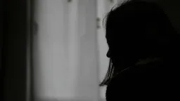 Criminal prosecutions for domestic violence rise sharply, MPs hear