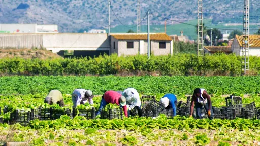 Foreign worker wage levels