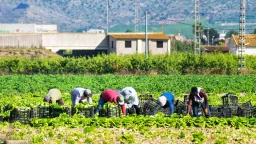 Foreign worker wage levels
