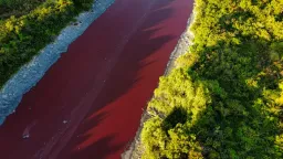 EU chemicals agency warns widely used 'forever chemical' may pose greater health risks