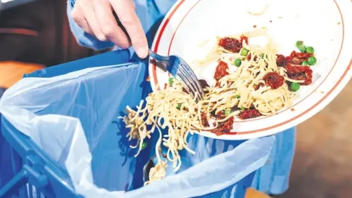 Food waste fuels global warming, experts urge action ahead of COP31