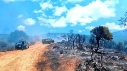 Swift response prevents major wildfire in Rhodope region