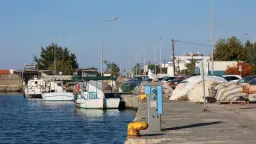 No sightings of Silver-Cheeked Toadfish reported in East Macedonia-Thrace Waters