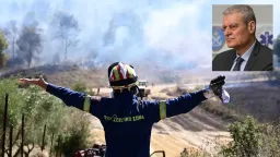 Tournas: 85% of wildfires caused by human negligence