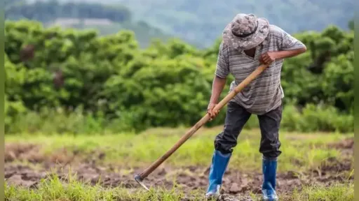 Zeybek criticizes delay in launch of OSDE 2026 farm aid platform