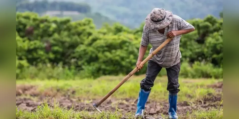 Zeybek criticizes delay in launch of OSDE 2026 farm aid platform