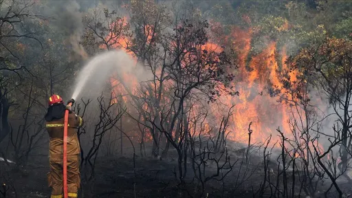 High fire risk alert issued across Greece for June 29