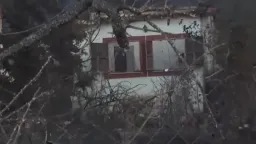 Father and 12-year-old son die in house fire tragedy