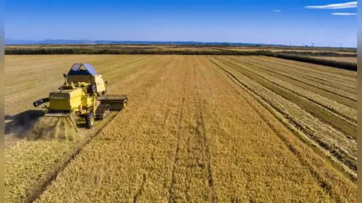 Six MPs from Greece’s left-wing political spectrum, led by Zeibek, are calling for clarifications regarding the allocation and transparency of funds under the new Common Agricultural Policy (CAP)