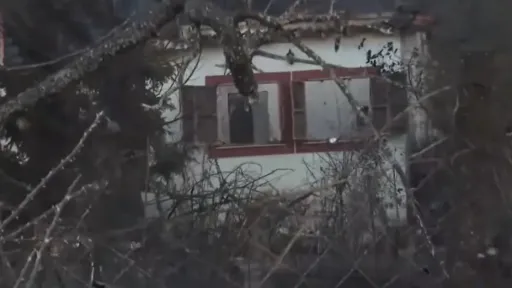 Two dead as Thessaloniki wildfire brought under control