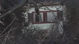 Two dead as Thessaloniki wildfire brought under control