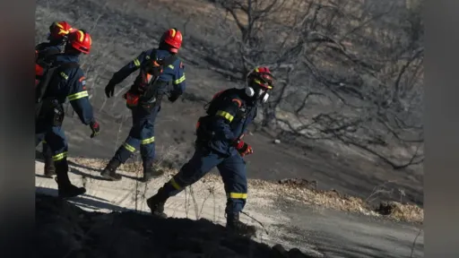 Fire service reports 96 wildfires across Greece in 48 hours