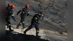 Fire service reports 96 wildfires across Greece in 48 hours