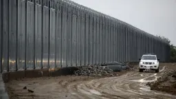 Eight suspected migrant smugglers arrested near Turkish border