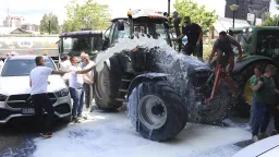 Kosovo dairy farmers dump milk on ground to protest dairy purchase suspension
