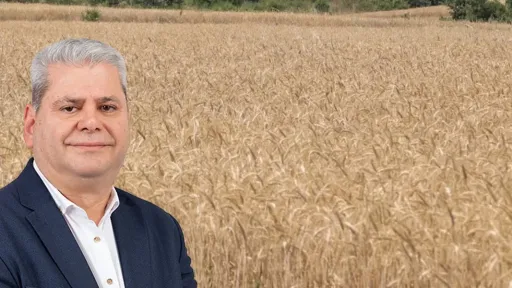 Zeybek calls for urgent support for wheat producers