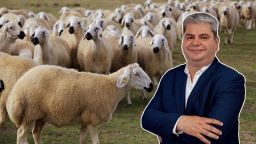 Calls for livestock support measures in eastern Macedonia and Thrace