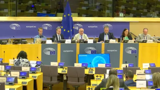 Concerns over rule of law in Greece raised at European Parliament