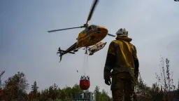 Wildfires intensify across Canada, Europe and North Africa amid extreme heat
