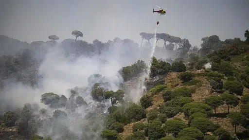 Europe scorched by deadly heat and violent storms as wildfires rage